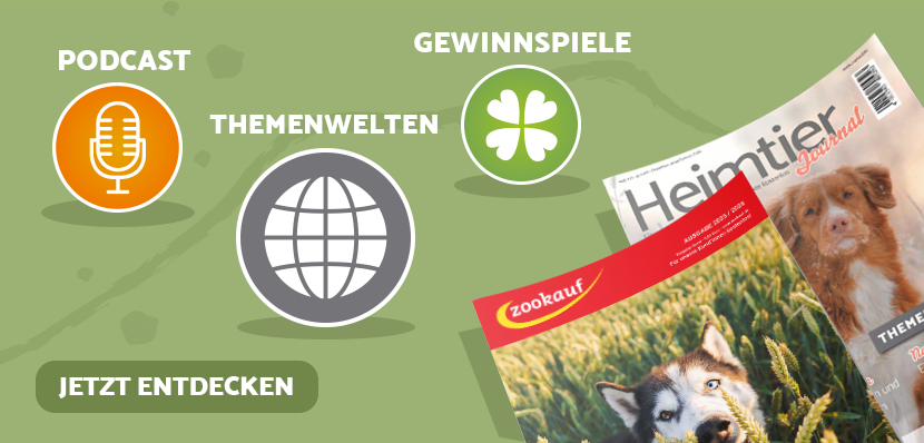 Teaser mehr entdecken