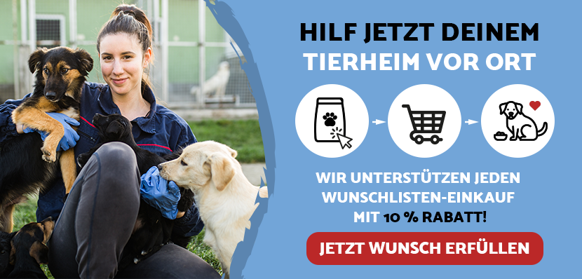 Teaser Tierschutz