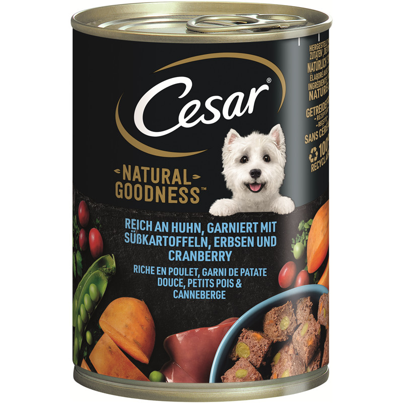 stabiles hundebett Orthopädisches Hundebett Royal aus Boucle Grau