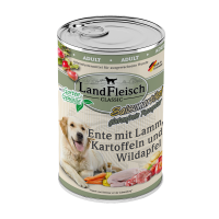 elektrische katzenspielzeug Elektrisches Katzenspielzeug mit Katzenminze, Plsch Spatz