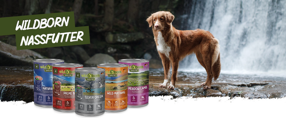 Wildborn  Premium Hundefutter mit hohem Fleischanteil