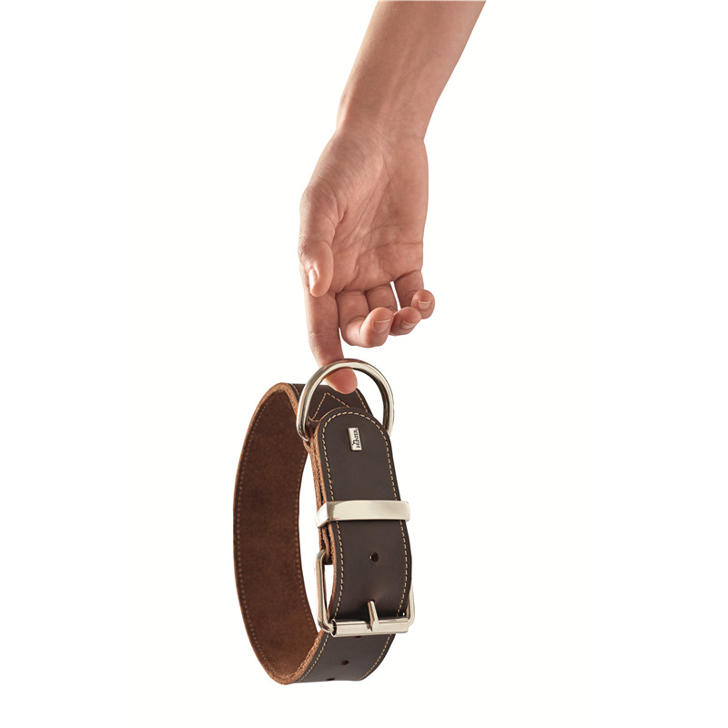 halsband und leine für welpen Softshellhalsband & Leine türkis – Souleashes main image 1