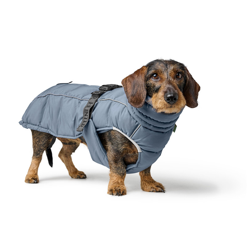 Hunter Hundemantel Paxson Dackel taubenblau | zookauf Online Shop