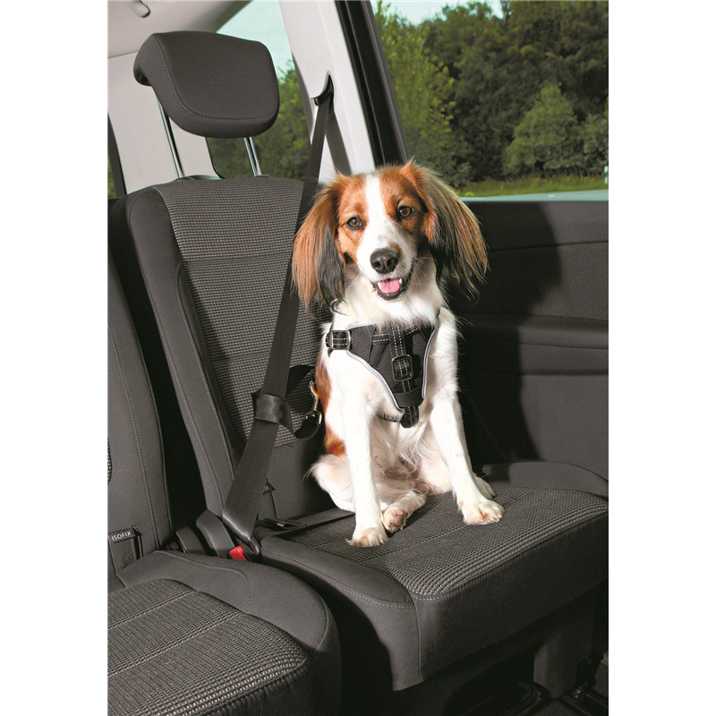 Produktbild Trixie Sicherheitsgeschirr Dog Comfort schwarz / 20 mm S-M 40-55 cm